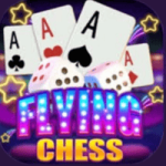 Flying Chess